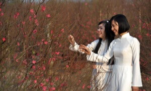 Ngày xuân tản mạn về nhân tài