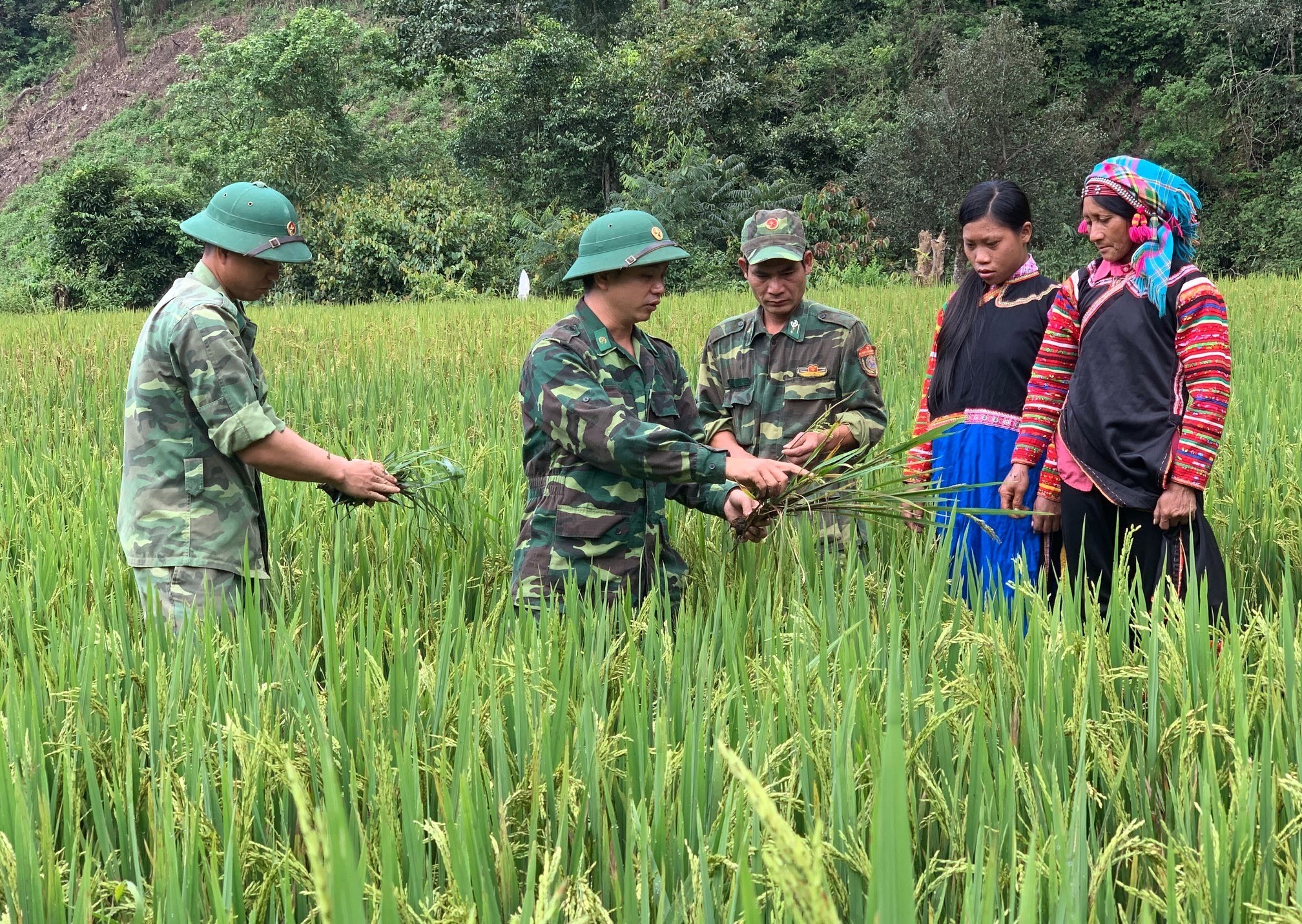 Cán bộ, chiến sĩ Đồn Biên phòng Pa Ủ giúp bà con dân tộc La Hủ ở bản Hà Si, xã Pa Ủ, huyện Mường Tè, tỉnh Lai Châu khai hoang ruộng trồng lúa để bảo đảm lương thực tại chỗ.Ảnh: TTXVN