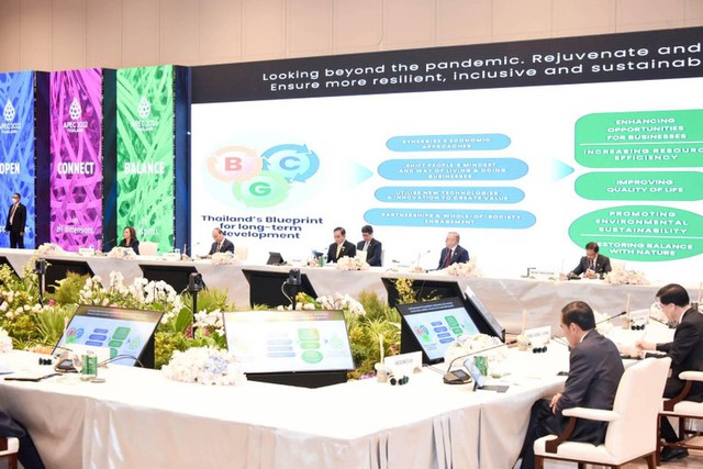 Phiên họp hẹp Hội nghị các nhà lãnh đạo kinh tế APEC lần thứ 29 (phiên thứ nhất) - Ảnh: Ban tổ chức APEC cung cấp.