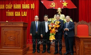 Thứ trưởng Bộ Nội vụ Trương Hải Long giữ chức Phó Bí thư Tỉnh ủy Gia Lai