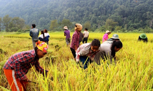 23.000 tỷ đồng ngân sách nhà nước hỗ trợ giảm nghèo năm 2022