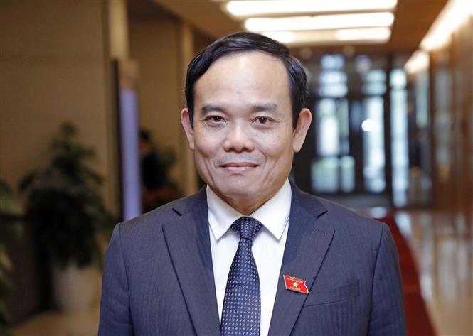 Phó Thủ tướng Chính phủ Trần Lưu Quang. Ảnh: Doãn Tấn/TTXVN