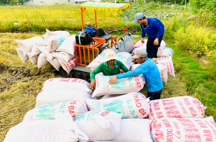 Từ một nước kém phát triển về nông nghiệp, phải nhập khẩu lương thực, Việt Nam trở thành một trong những nước xuất khẩu gạo đứng đầu thế giới.