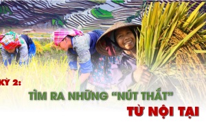 KỲ 2: TÌM RA NHỮNG “NÚT THẮT” TỪ NỘI TẠI