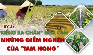 KỲ 3: “KIỀNG BA CHÂN” HÓA GIẢI NHỮNG ĐIỂM NGHẼN CỦA “TAM NÔNG”