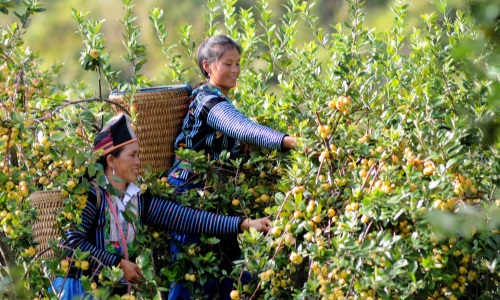 Việt Nam bảo đảm phát triển toàn diện quyền của người dân tộc thiểu số và người nước ngoài tại Việt Nam