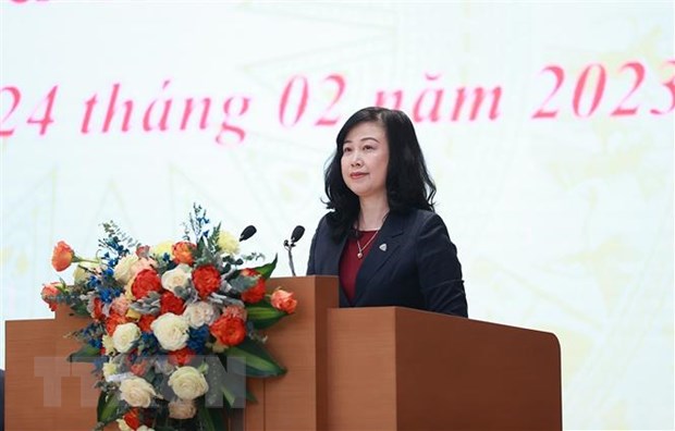 Bộ trưởng Bộ Y tế Đào Hồng Lan phát biểu tại Hội nghị. (Ảnh: Dương Giang/TTXVN).
