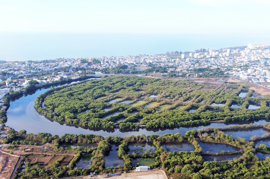 Khu cây ngập nước còn sót lại giữa lòng TP.Phan Thiết (Bình Thuận). Người dân Bình Thuận ủng hộ dự án công viên sinh thái ngập nước theo đề xuất của Bí thư Tỉnh ủy Dương Văn An.