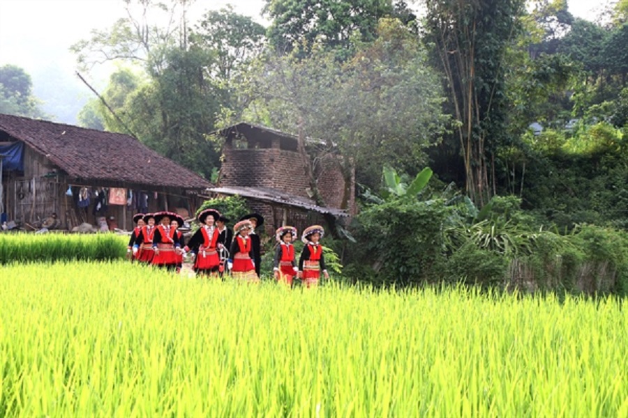 Sắc màu Dao đỏ ở Vũ Minh.