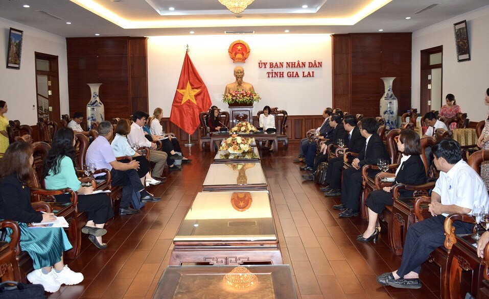 Cuộc làm việc giữa đại diện UBND tỉnh với đoàn chuyên gia của Quỹ Dân số Liên hiệp Quốc (UNFPA) tại Việt Nam và Quỹ MSD for Mothers (MSD vì các bà mẹ) - (Ảnh: gialai.gov.vn).