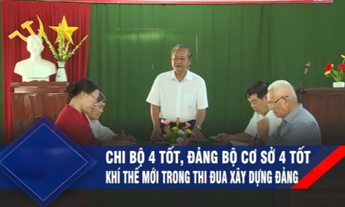 Bình Định xây dựng mô hình “chi bộ bốn tốt”, “đảng bộ cơ sở bốn tốt”