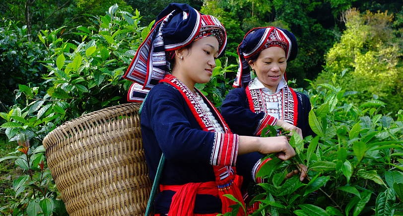 Ảnh minh hoạ. Nguồn: Báo Dân tộc và Phát triển