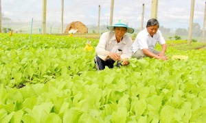 Xây dựng NTM ở huyện Thống Nhất (Đồng Nai): Mục tiêu quan trọng nhất là không ngừng nâng cao thu nhập và chất lượng cuộc sống của người dân