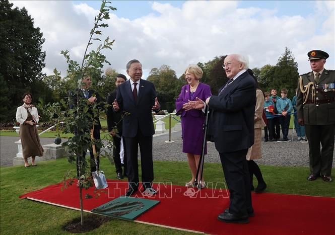 Tổng thống Ai-len Michael D. Higgins cùng Phu nhân và Tổng Bí thư, Chủ tịch nước Tô Lâm tại lễ trồng cây.