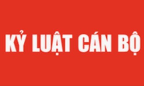 Bộ Chính trị, Ban Bí thư xem xét, thi hành kỷ luật tổ chức đảng, đảng viên