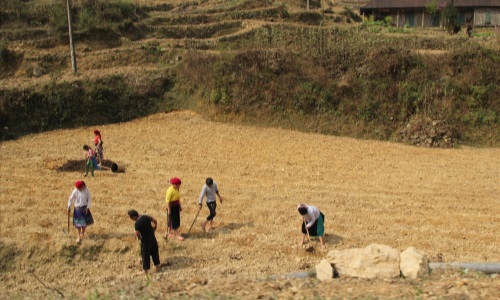 Bộ Tài nguyên và Môi trường đề xuất quy định về hỗ trợ đất đai đối với đồng bào dân tộc thiểu số