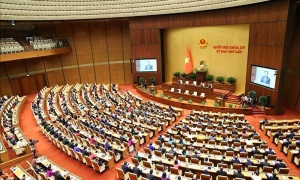 Tuần thứ ba, Kỳ họp thứ bảy, Quốc hội khóa XV: Trọng tâm là chất vấn và trả lời chất vấn