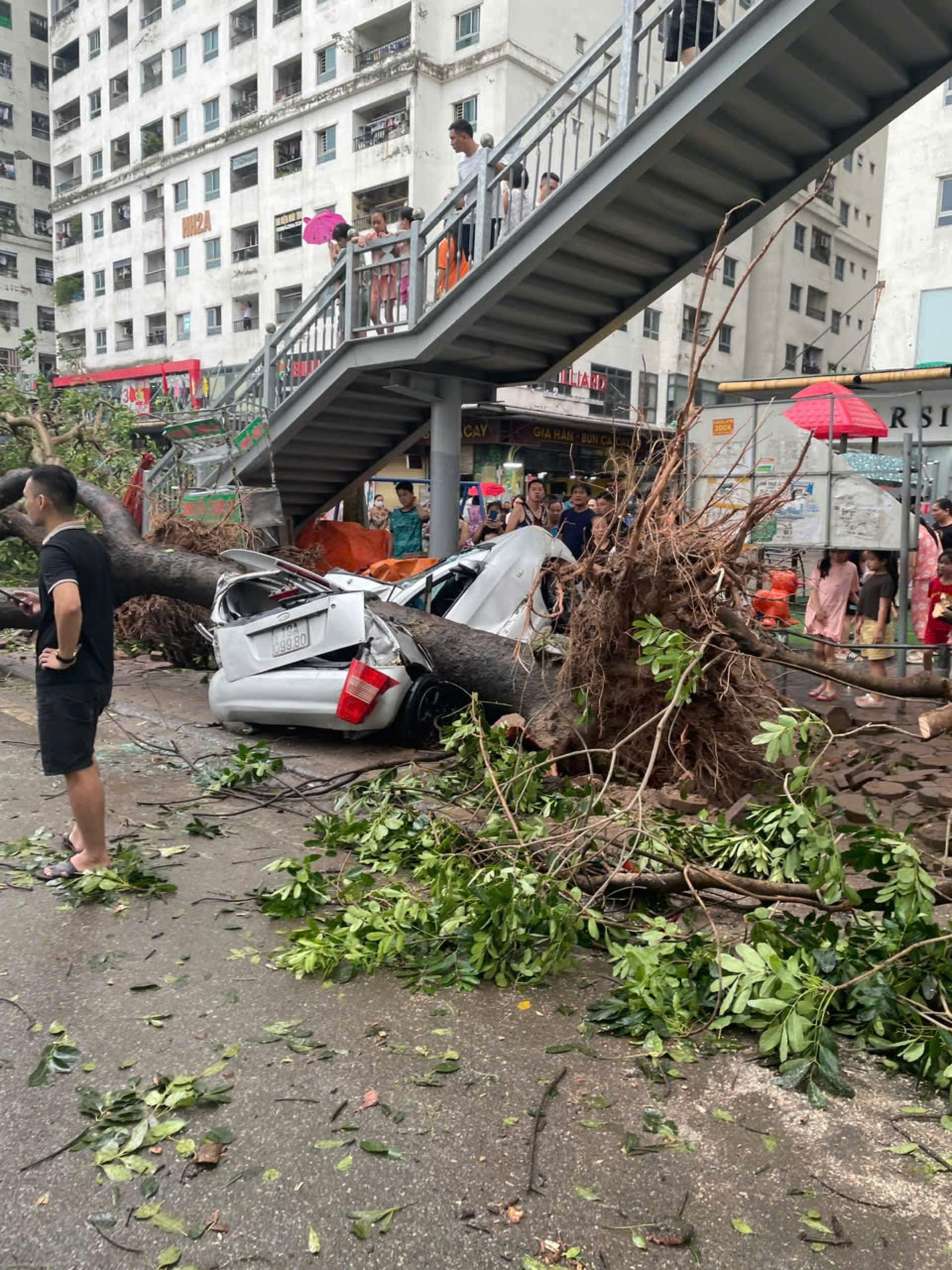 Nhiều ô tô ở Hà Nội hư hỏng do cây đổ.
