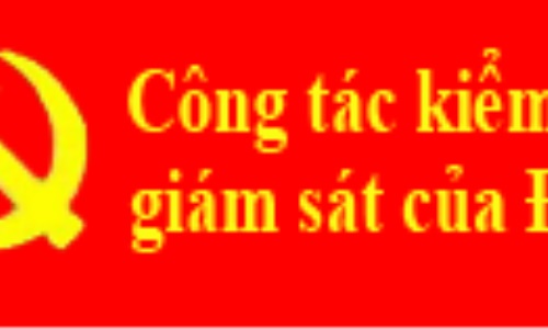 Hướng dẫn thực hiện chất vấn của cấp uỷ viên tại các kỳ họp của ban chấp hành đảng bộ các cấp (*)