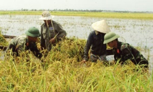 Thừa Thiên Huế: Xây dựng chi bộ quân sự “chủ động, thống nhất, trực tiếp, toàn diện”