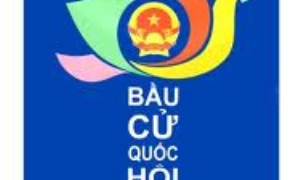 Số dư bầu cử đại biểu quốc hội khóa XIII đạt tỷ lệ: 1,64%