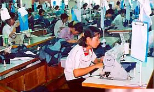 Phát huy vai trò chi bộ đảng ở Công ty cổ phần may và dịch vụ Hưng Long