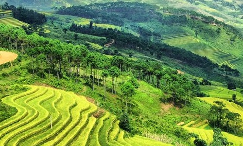 Để việc thực hiện chủ trương, chính sách của Đảng và Nhà nước ở cơ sở không bị lợi dụng