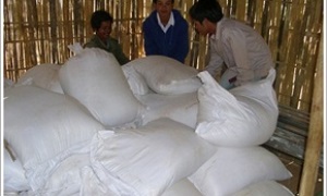 Phát huy vai trò "Ngân hàng lương thực cộng đồng" ở Đắc Hà (Kon Tum)