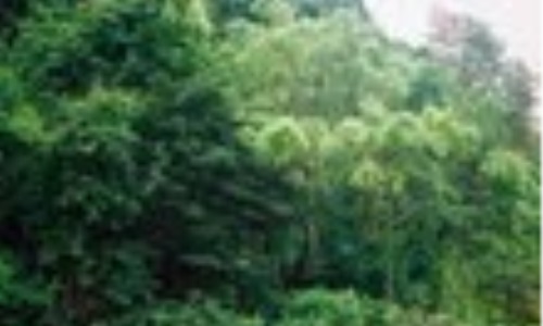 Pắc Pó (Cao Bằng) nơi in đậm dấu chân Người!