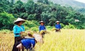 Một số giải pháp chủ yếu nâng cao năng lực lãnh đạo của Đảng NDCM Lào đối với vấn đề xây dựng, phát triển nông thôn mới trong giai đoạn hiện nay