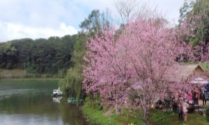 Kon Tum vang nhịp chiêng xuân