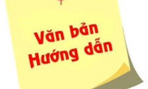 Kết luận của Bộ Chính trị về độ tuổi tái cử chính quyền và trình độ chuyên môn, lý luận chính trị đối với nhân sự tham gia cấp ủy các cấp nhiệm kỳ 2020 – 2025