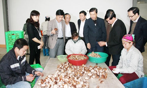 Đảng bộ huyện Đại Từ nâng cao chất lượng sinh hoạt chi bộ