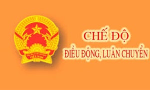 Công tác quy hoạch gắn với luân chuyển cán bộ  từ thực tiễn ở Thái Bình