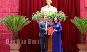 Chủ tịch UBND tỉnh Bình Định được điều động làm Bí thư Tỉnh uỷ Hoà Bình