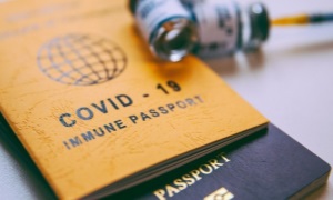 Sắp có Bộ tiêu chí công nhận và sử dụng hộ chiếu vắc-xin của các nước tại Việt Nam