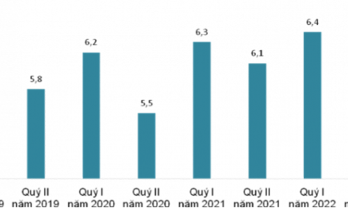 Thu nhập bình quân tháng của người lao động quý II-2022 tăng lên mức 6,6 triệu đồng