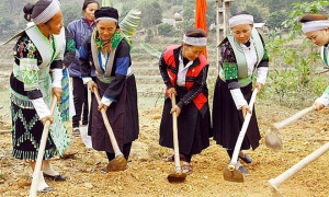 Hỗ trợ nhà ở, đất sản xuất cho hộ nghèo dân tộc thiểu số