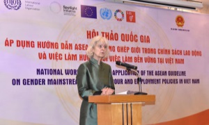 Chia sẻ những tiến bộ giải quyết bất bình đẳng giới trong chính sách lao động và việc làm tại Việt Nam