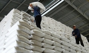 Xuất gạo dự trữ quốc gia hỗ trợ nhân dân 9 tỉnh