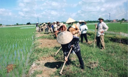 Người bí thư chi bộ tâm huyết với phong trào thi đua ở địa phương