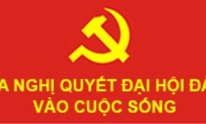 Sát thực, hiệu quả