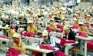 Giải pháp quản lý và phát triển đối tượng tham gia bảo hiểm xã hội trong doanh nghiệp