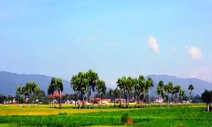 Kinh nghiệm xây dựng nông thôn mới ở Thiệu Trung