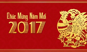Chủ tịch nước Trần Đại Quang gửi thông điệp năm mới 2017
