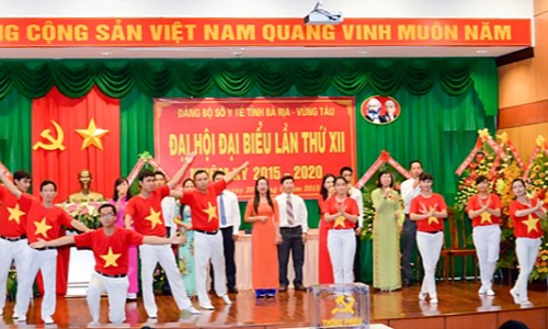 Đảng bộ Bà Rịa - Vũng Tàu lãnh đạo công tác phát triển đảng viên trong một số ngành, lĩnh vực