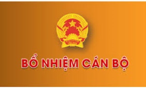 Thủ tướng Chính phủ bổ nhiệm nhân sự một số cơ quan Trung ương