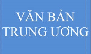 Quy định chức năng, nhiệm vụ, quyền hạn, tổ chức bộ máy cơ quan chuyên trách tham mưu, giúp việc tỉnh ủy, thành ủy