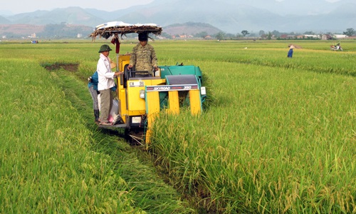 Vai trò của đảng viên trong vận động nhân dân xây dựng nông thôn mới ở tỉnh Phú Thọ