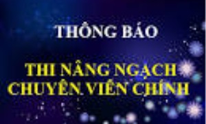 Hướng dẫn thí sinh làm bài thi trắc nghiệm môn: Chuyên môn, nghiệp vụ